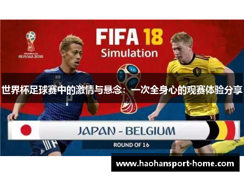 世界杯足球赛中的激情与悬念：一次全身心的观赛体验分享